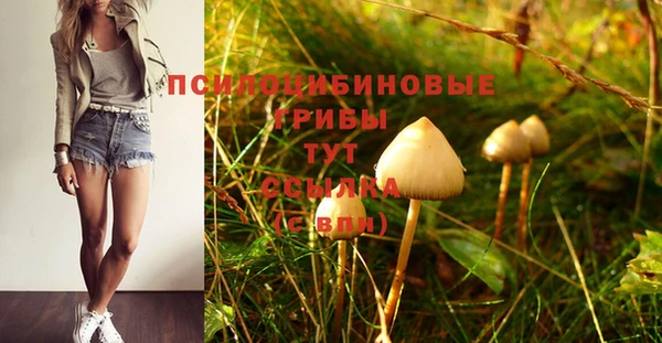 скорость Волосово