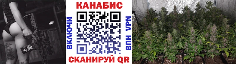 Купить где  Качканар  Бошки марихуана OG Kush 